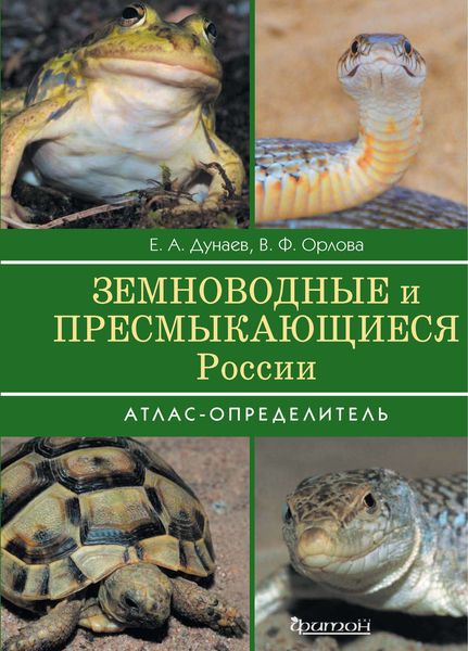 Обложка книги  «Земноводные и пресмыкающиеся России»