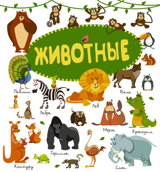 Обложка книги  «Животные»