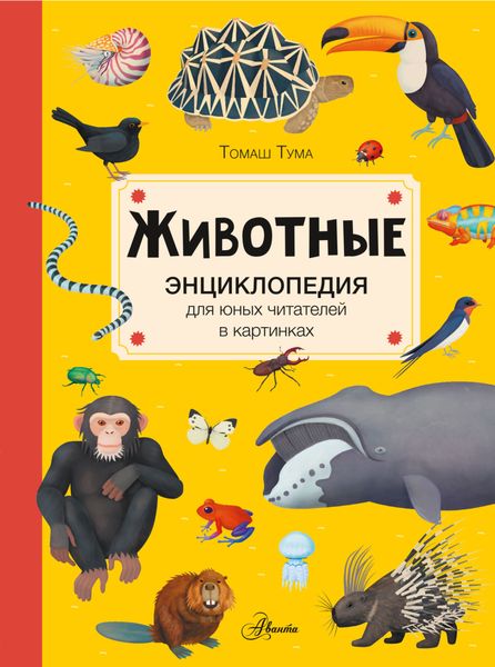 Обложка книги  «Животные»