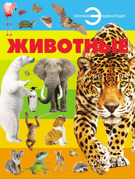 Обложка книги  «Животные»
