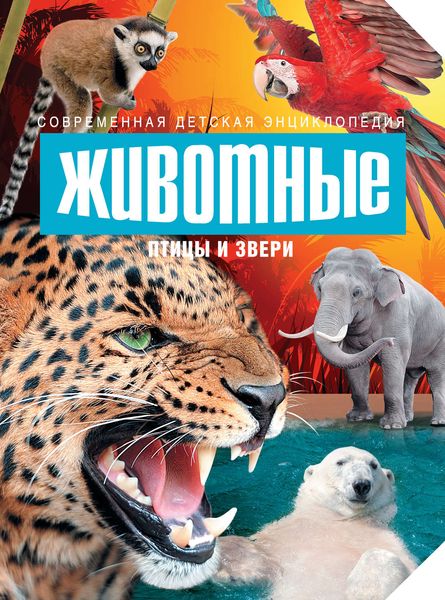 Обложка книги «Животные. Птицы и звери»