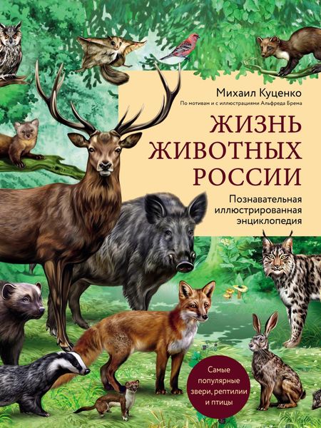 Обложка книги  «Жизнь животных России. Познавательная иллюстрированная энциклопедия»