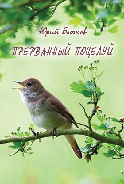 Обложка книги  «Прерванный поцелуй»