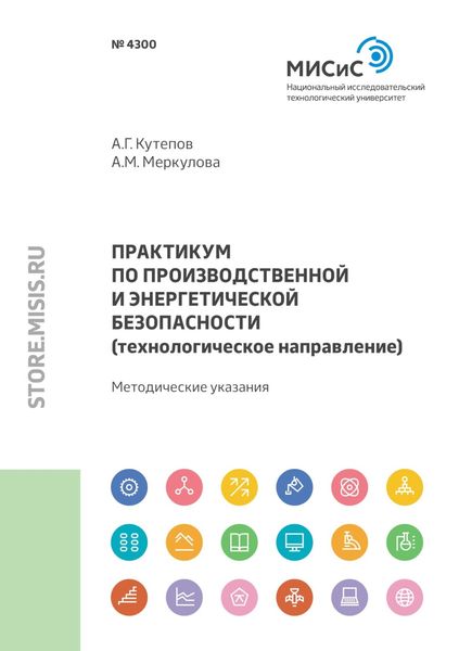 Обложка книги  «Практикум по производственной и энергетической безопасности (технологическое направление)»