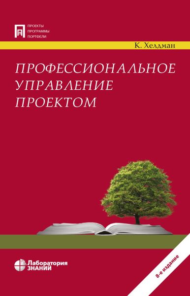 Обложка книги  «Профессиональное управление проектом»