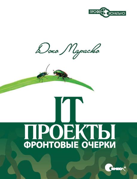 Обложка книги «IT-проекты: фронтовые очерки»