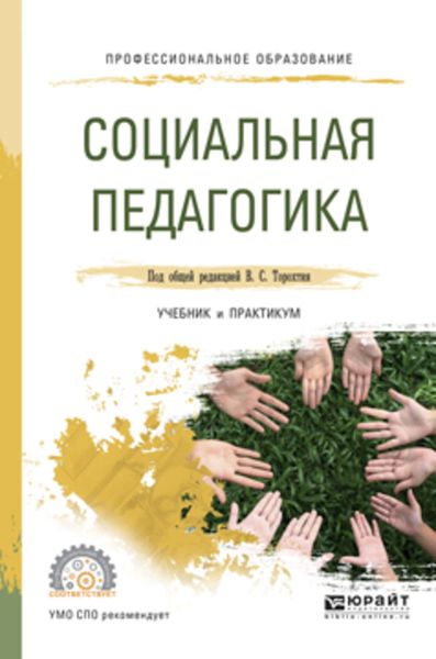 Обложка книги «Социальная педагогика. Учебник и практикум для СПО»