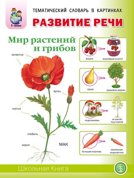 Обложка книги  «Развитие речи «Мир растений и грибов»: Фрукты. Овощи. Ягоды. Грибы. Цветы. Деревья»