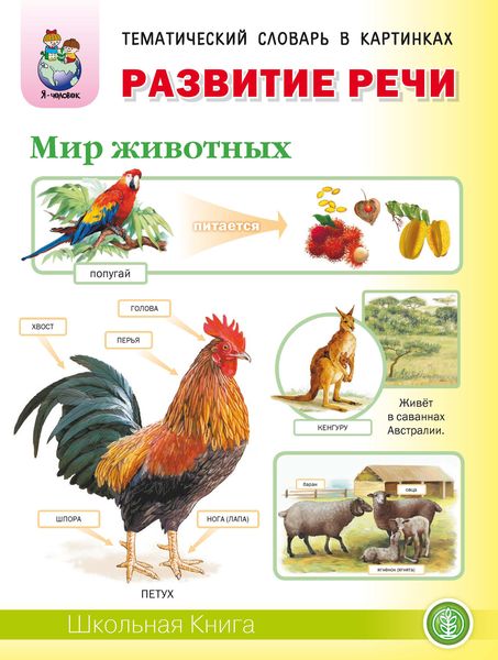 Обложка книги  «Развитие речи «Мир животных»: Домашние животные. Дикие животные (звери) средней полосы. Дикие животные (звери) и птицы жарких и холодных стран. Домашние птицы. Дикие птицы средней полосы. Насекомые. Земноводные и пресмыкающиеся. Рыбы»