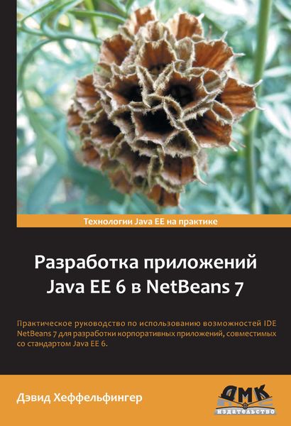 Обложка книги  «Разработка приложений Java EE 6 в NetBeans 7»