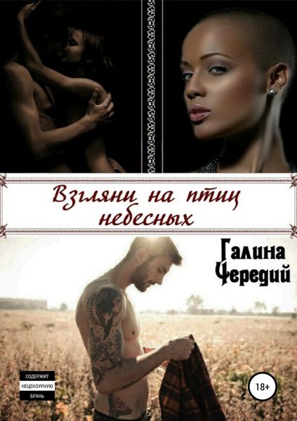 Обложка книги  «Взгляни на птиц небесных»