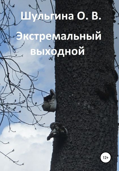 Обложка книги  «Экстремальный выходной»
