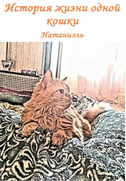 Обложка книги  «История жизни одной кошки»