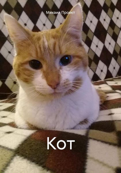 Обложка книги  «Кот»