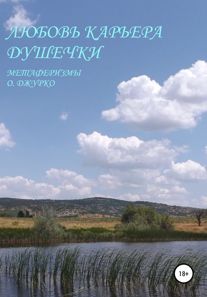 Обложка книги «Любовь – карьера душечки»