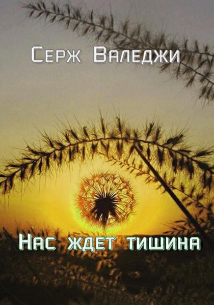 Обложка книги «Нас ждет тишина»