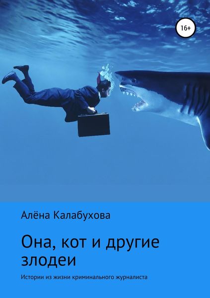 Обложка книги  «Она, кот и другие злодеи»