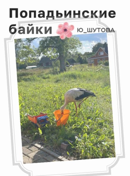 Обложка книги  «Попадьинские байки»