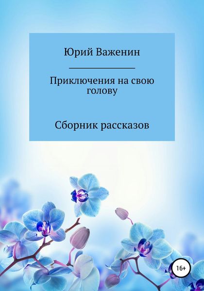 Обложка книги  «Приключения на свою голову. Сборник рассказов»