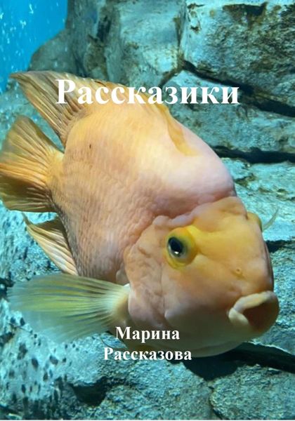 Обложка книги «Рассказики»