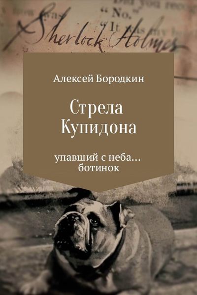 Обложка книги  «Стрела Купидона»