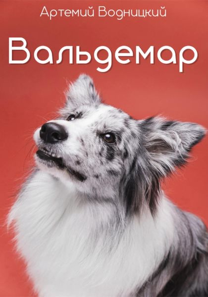Обложка книги  «Вальдемар»