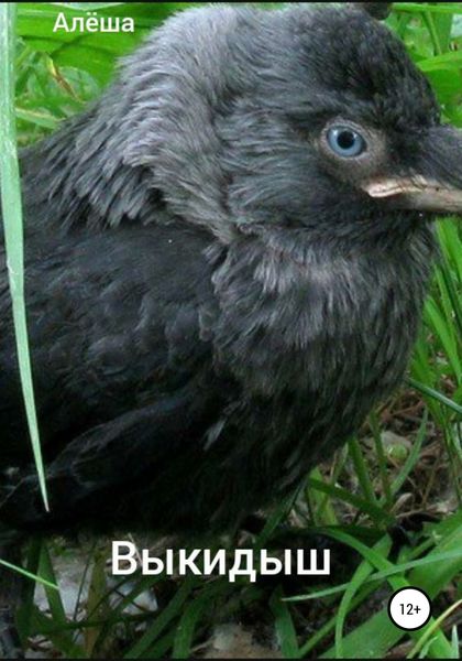 Обложка книги  «Выкидыш»
