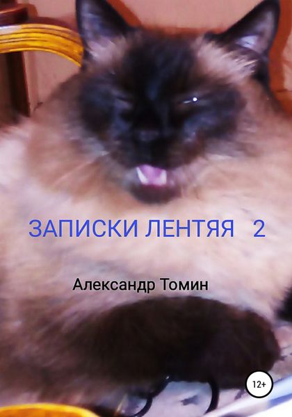 Обложка книги  «Записки лентяя 2»
