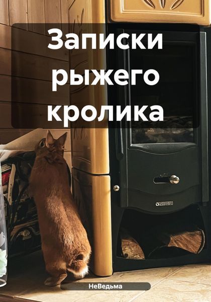 Обложка книги  «Записки рыжего кролика»