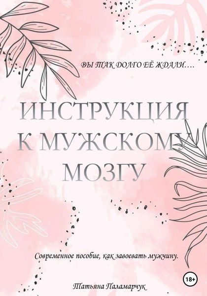 Обложка книги «Инструкция к мужскому мозгу»