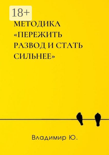 Обложка книги «Методика «Пережить развод и стать сильнее»»