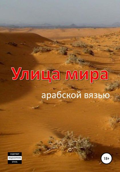 Обложка книги  «Улица мира арабской вязью»