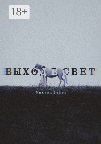 Обложка книги  «Выход в Свет»
