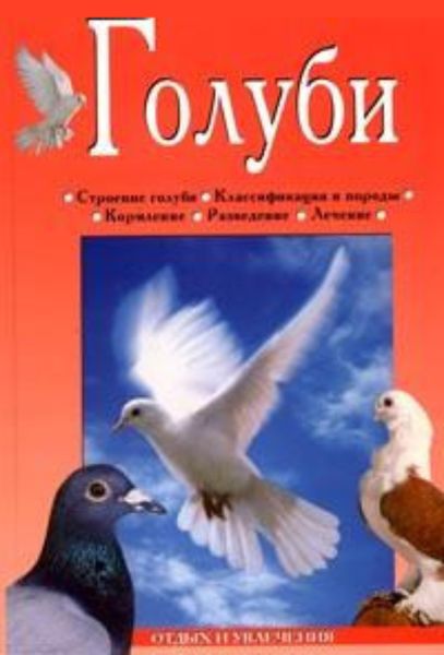 Обложка книги  «Голуби»