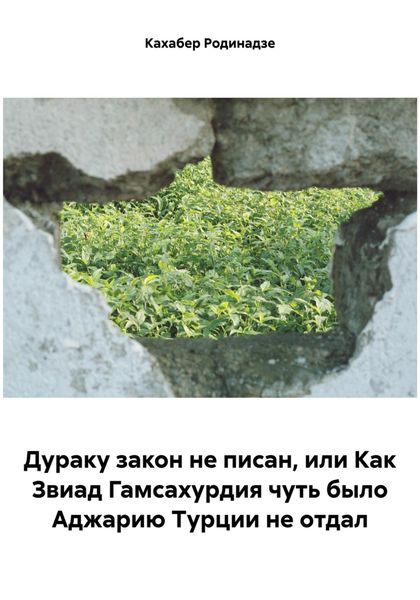 Обложка книги  «Дураку закон не писан, или Как Звиад Гамсахурдия чуть было Аджарию Турции не отдал»