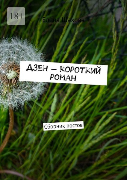 Обложка книги  «Дзен – короткий роман. Сборник постов»