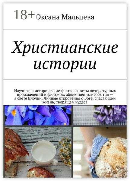 Обложка книги  «Христианские истории. Научные и исторические факты, сюжеты литературных произведений и фильмов, общественные события – в свете Библии. Личные откровения о Боге, спасающем жизнь, творящем чудеса»