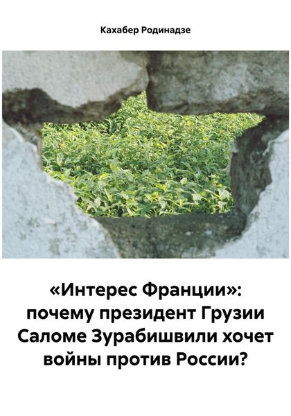 Обложка книги  ««Интерес Франции»: почему президент Грузии Саломе Зурабишвили хочет войны против России?»