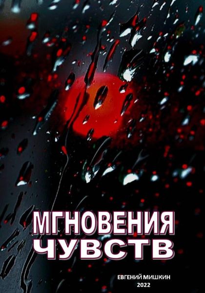 Обложка книги  «Мгновения чувств»