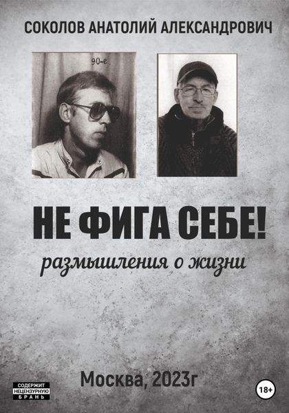 Обложка книги  «Не фига себе! Размышления о жизни»