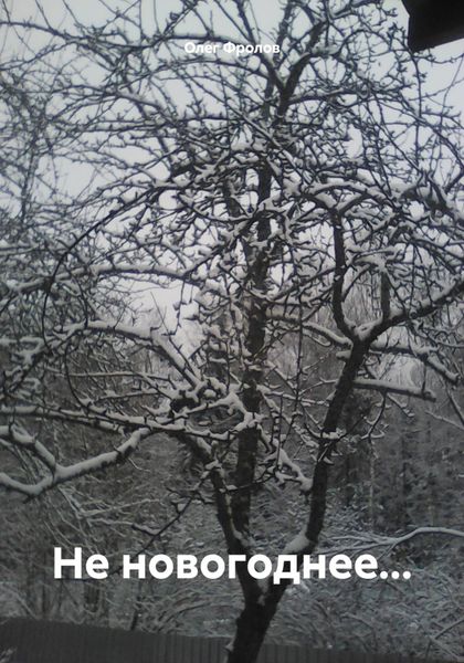 Обложка книги  «Не новогоднее…»