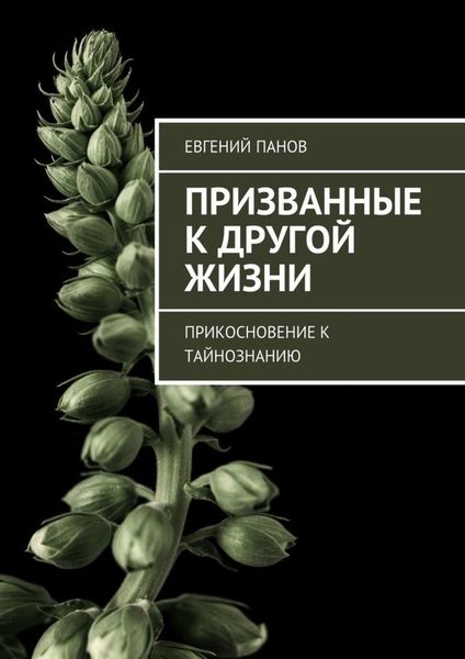 Обложка книги  «Призванные к другой жизни. Прикосновение к тайнознанию»