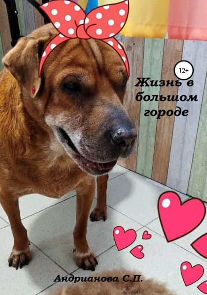 Обложка книги  «Жизнь в большом городе»