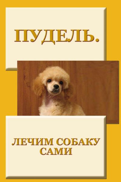 Обложка книги  «Пудель. Лечим собаку сами»