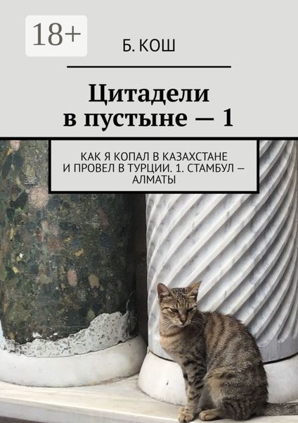 Обложка книги  «Цитадели в пустыне – 1. Как я копал в Казахстане и провел в Турции. 1. Стамбул – Алматы»