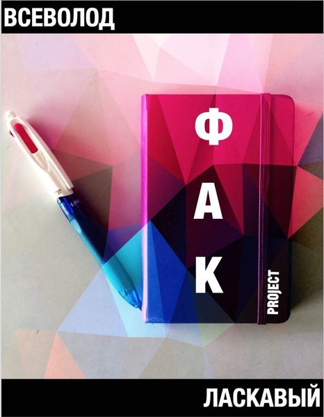 Обложка книги  «ФАК project»
