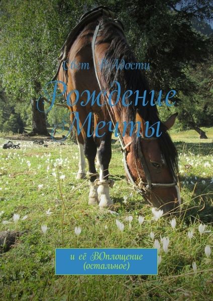 Обложка книги  «Рождение мечты. И её воплощение (остальное)»