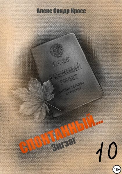 Обложка книги  «Спонтанный…10 Зигзаг»