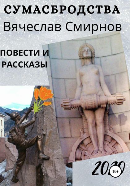 Обложка книги  «Сумасбродства»