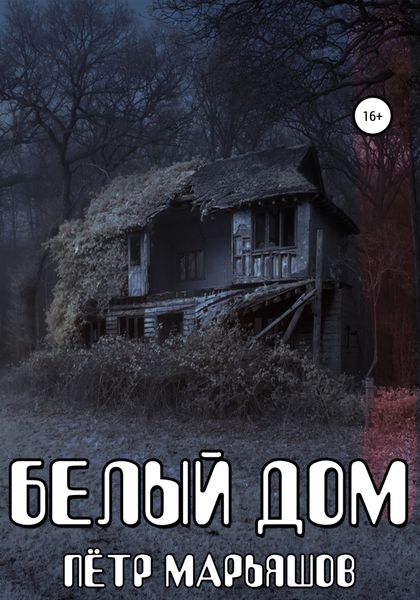 Обложка книги «Белый Дом»